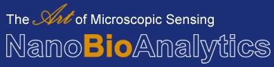 NanoBioAnalytics Schriftzug